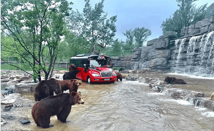 河南——邓州欢乐世界